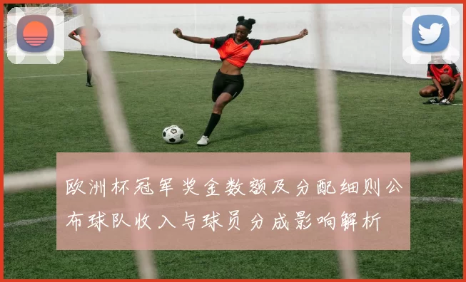 欧洲杯冠军奖金数额及分配细则公布球队收入与球员分成影响解析