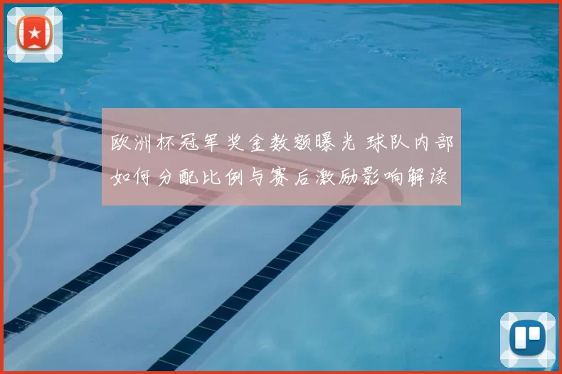 欧洲杯冠军奖金数额曝光 球队内部如何分配比例与赛后激励影响解读