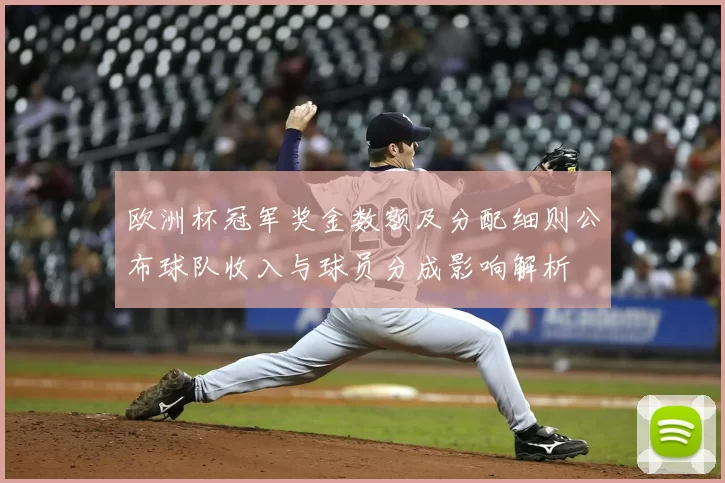 欧洲杯冠军奖金数额及分配细则公布球队收入与球员分成影响解析