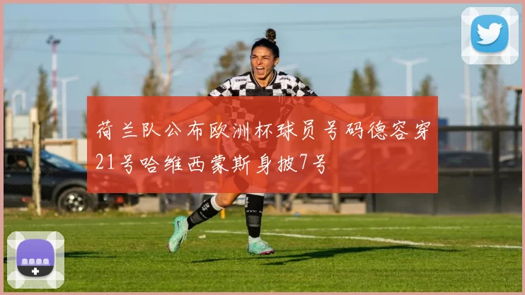 荷兰队公布欧洲杯球员号码德容穿21号哈维西蒙斯身披7号