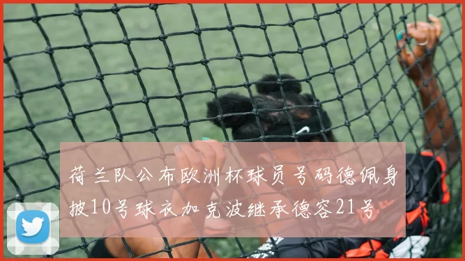 荷兰队公布欧洲杯球员号码德佩身披10号球衣加克波继承德容21号