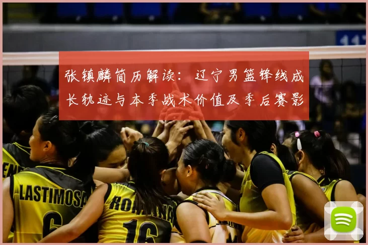 张镇麟简历解读:辽宁男篮锋线成长轨迹与本季战术价值及季后赛影响力